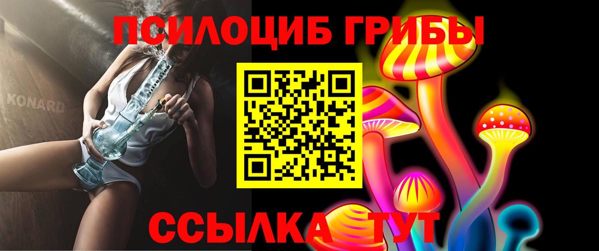 Псилоцибиновые грибы Psilocybe  Вход с VPN  Псилоцибиновые грибы Cubensis  Набережные Челны 